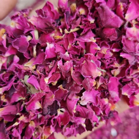 Rose Petals (No:1)