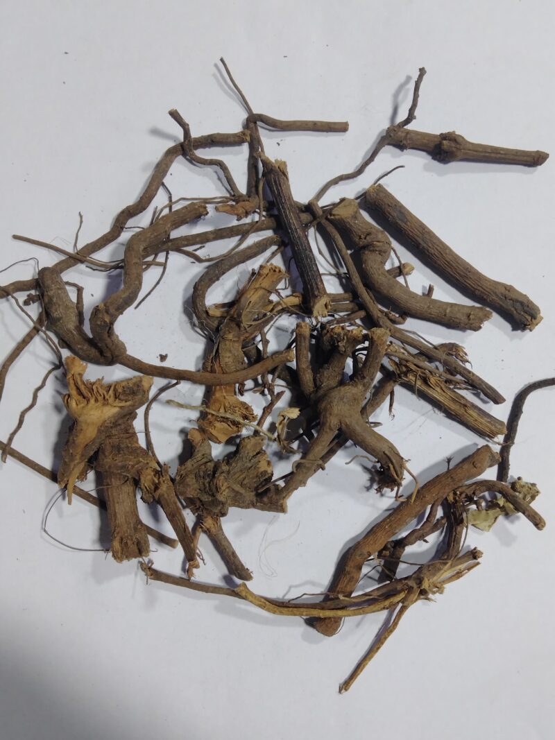 dried chithirai mola veru_herbalsociety