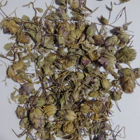 dried leaves and their dried stcks_herbalsociety