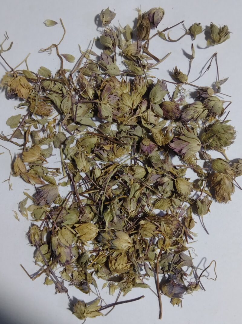 dried leaves and their dried stcks_herbalsociety