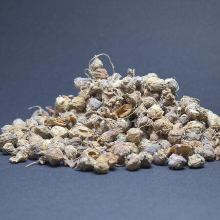 dried bitter guard seeds_herbalsociety