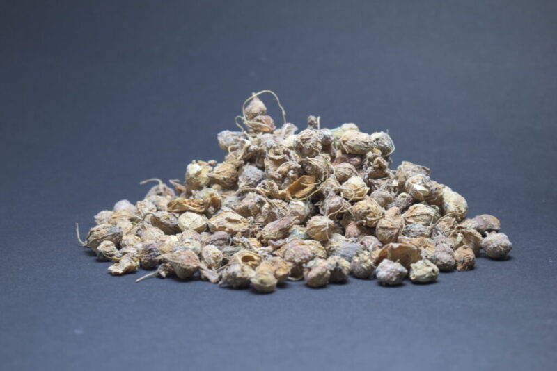 dried bitter guard seeds_herbalsociety